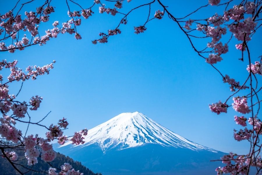 Mt. Fuji
